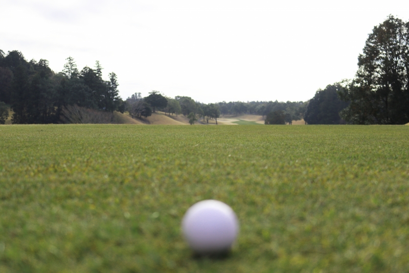 ゴルフボールをバックにしたゴルフ場の風景のフリー写真素材 ニューファクトリー