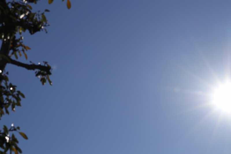 太陽と青空のフリー写真素材 ニューファクトリー